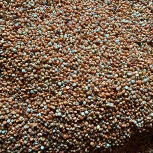 guinea corn